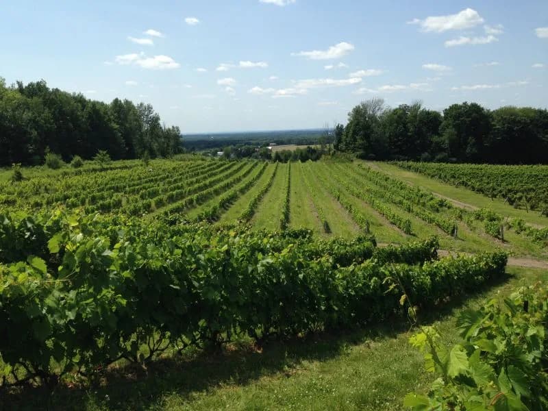 Québec Wine Route
