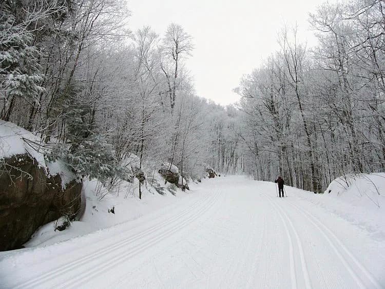 Gatineau Park