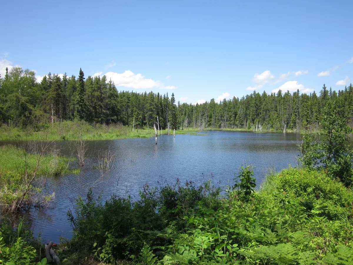Pointe-Taillon National Park