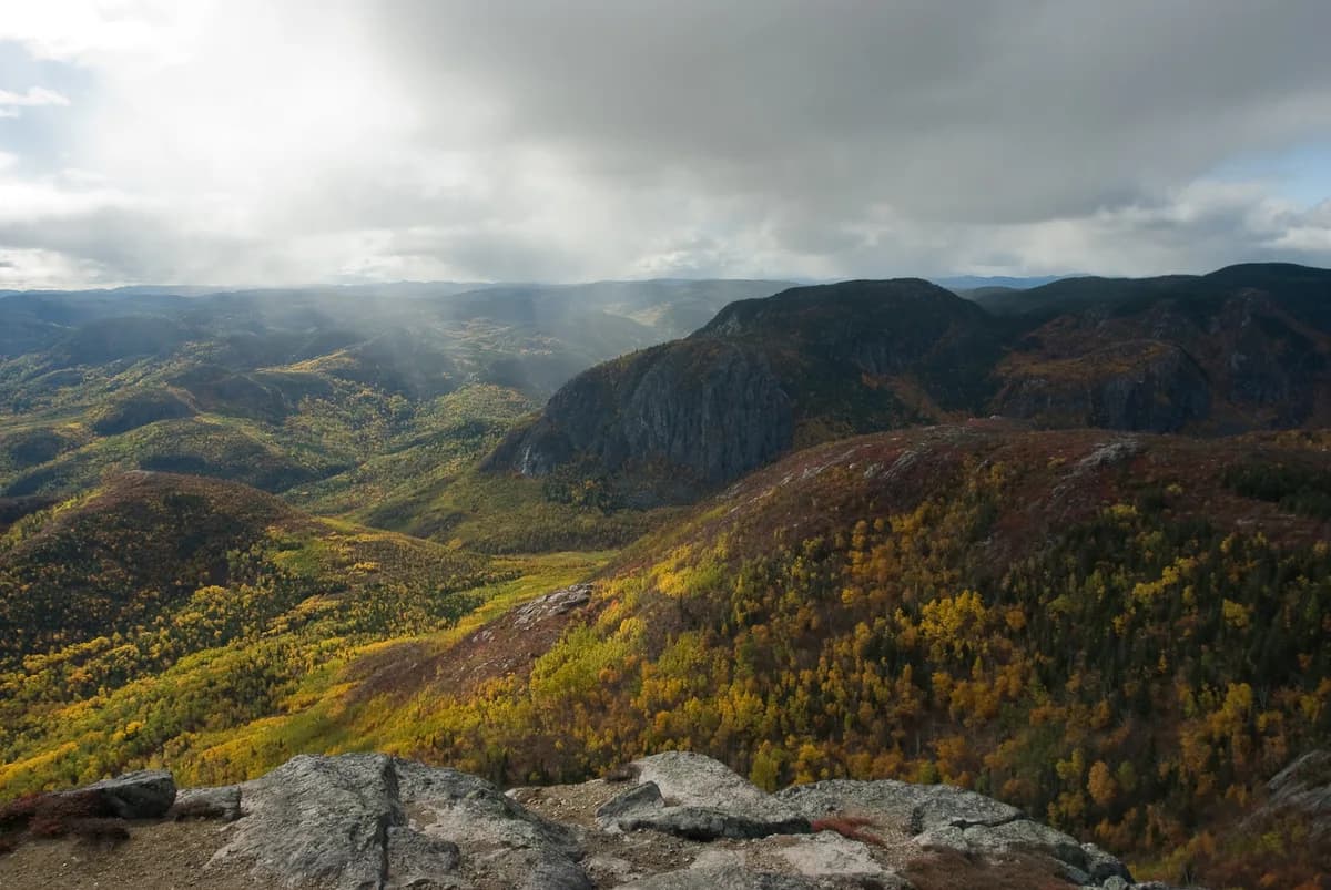Grands-Jardins National Park