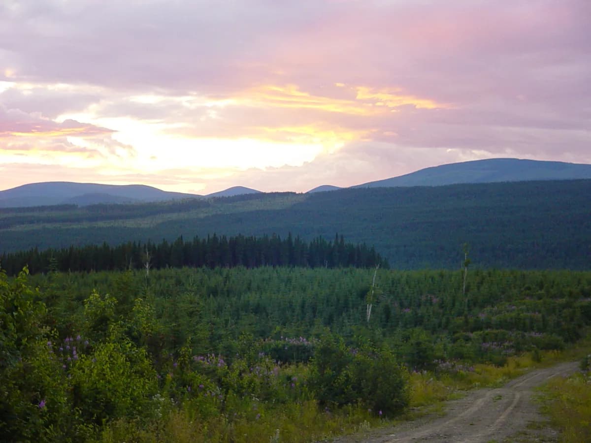 Matane Wildlife Reserve and Salmon Watching