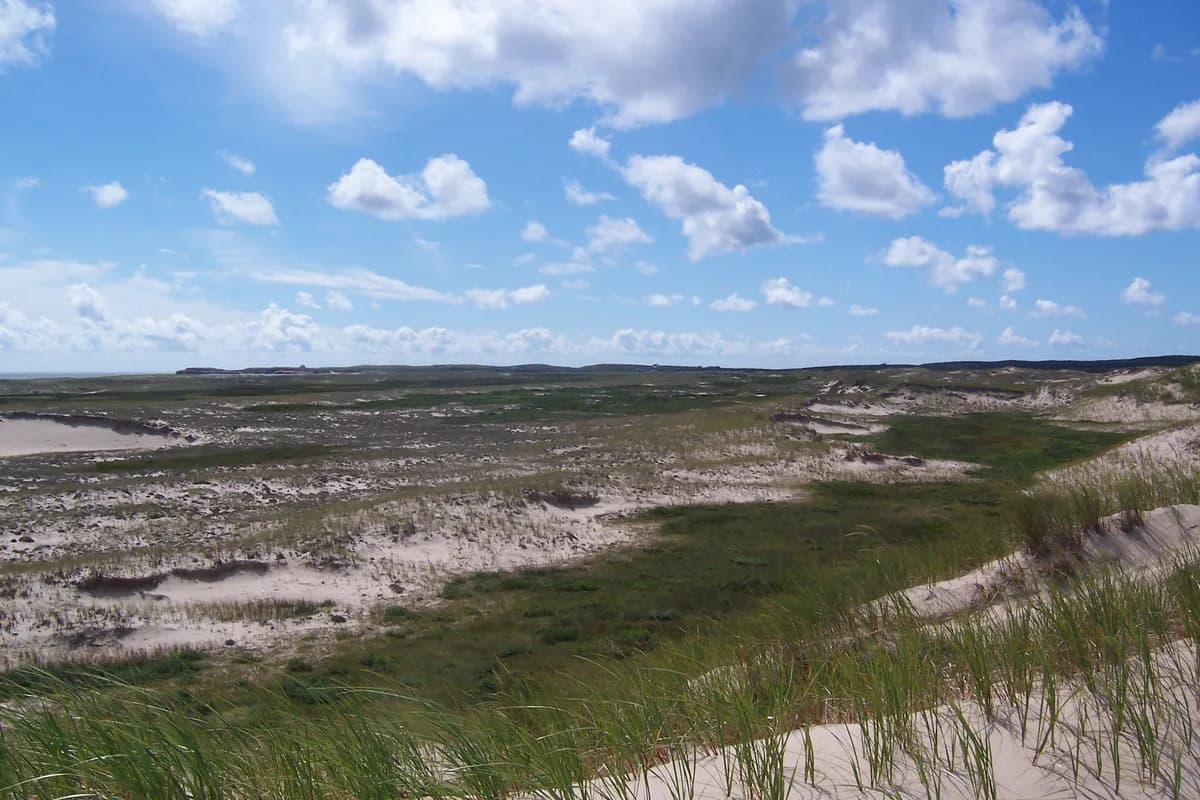 Pointe-de-l'Est National Wildlife Area