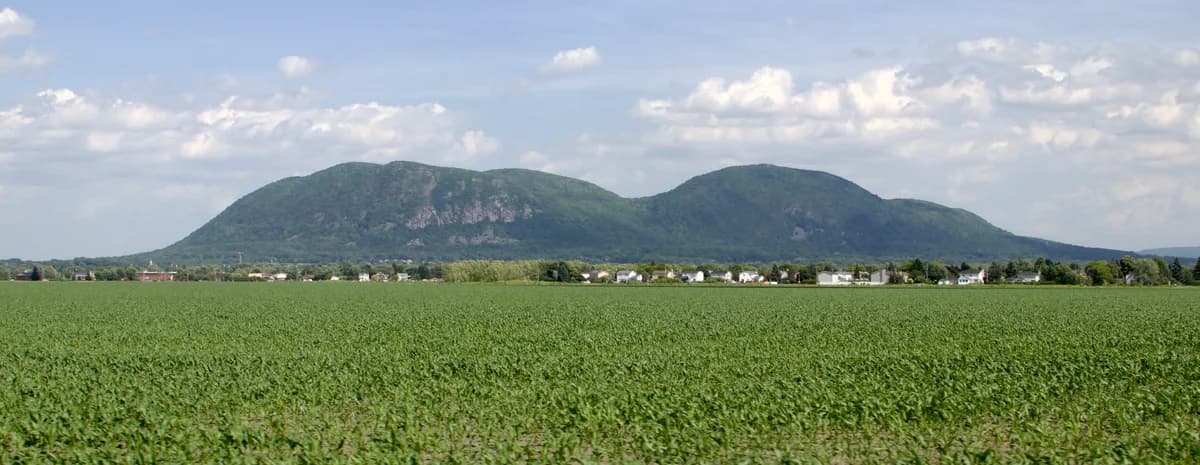 Gault Nature Reserve (Mont Saint-Hilaire)