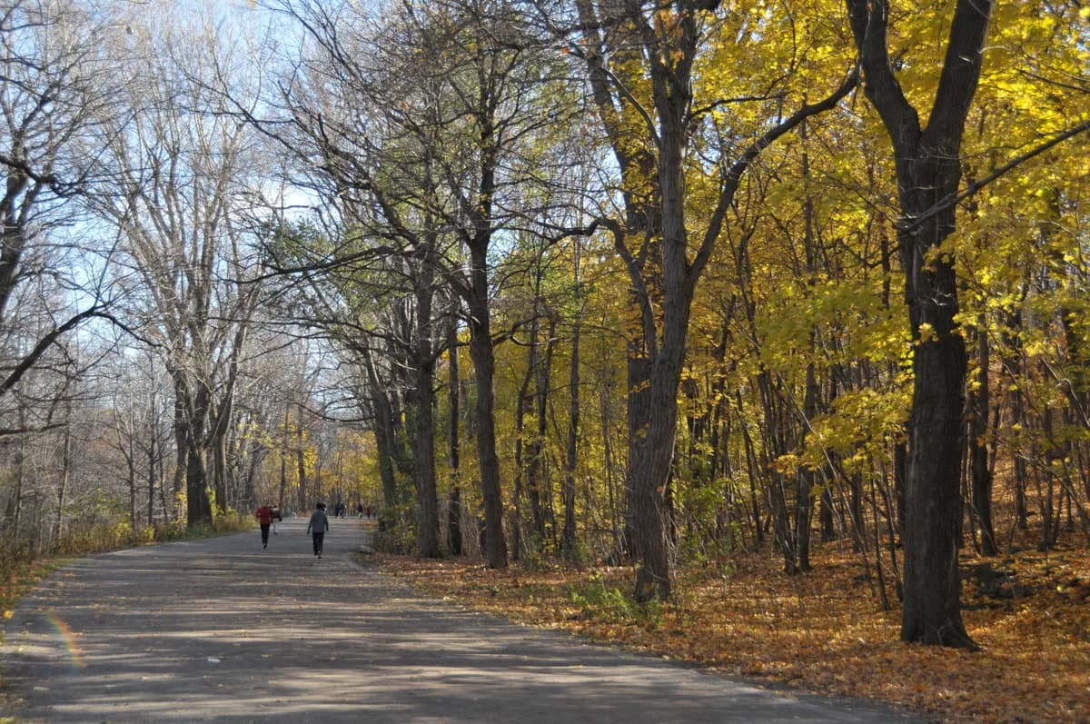 Mont-Royal Park